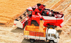 <b>该大模子依托人工智能</b> 