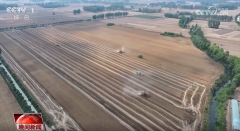 每年可为本地农约2000万元 