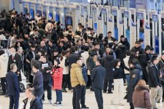 强调手艺立异取规范扶植同步推进 